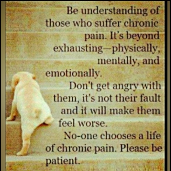 Adorable Pig Farm Apron OSFM Terry Cloth - Picture 6 of 16